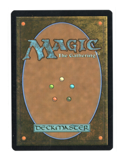 MTG - Windcrag Siege - Borderless Foil - Tarkir Dragonstorm TDM - NM - Image 2