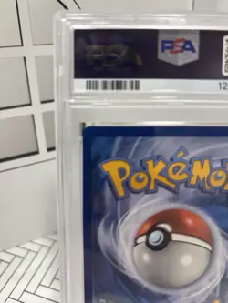 Pokemon Squirtle TCG Holo Card 148/142 Stellar Crown Illustration, PSA 9 - Image 3