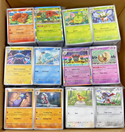 5000+ Pokemon Obsidian Flames Eng Bulk Cards - Image 1