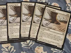Tempest Hawk x20 (English) Tarkir: Dragonstorm Set MTG Magic - Image 2