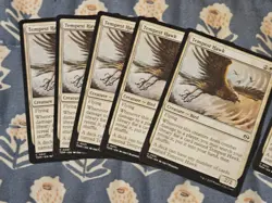 Tempest Hawk x20 (English) Tarkir: Dragonstorm Set MTG Magic - Image 3