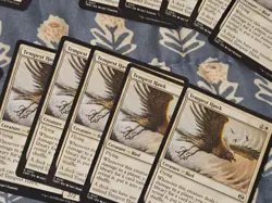 Tempest Hawk x20 (English) Tarkir: Dragonstorm Set MTG Magic - Image 4