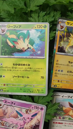 Pokemon Japanese Eevee ex 9 Card Terastal Festival ex Umbreon Sylveon Espeon NM - Image 2