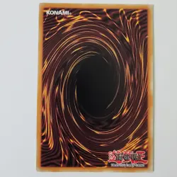 Unchained Twins - Rakea - CHIM-EN009 - NM - Rare - Unlimited - Yugioh - Image 2