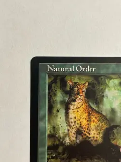1x Natural Order MTG Card Visions Rare Sorcery LP - Image 2