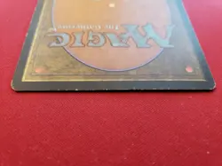 Sylvan Library 5th Edition #329 MtG - Image 4