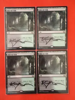 MTG - 4x Verdant Catacombs - Modern Masters 2017 - JPN - signed by Vance Kovacs - Image 1