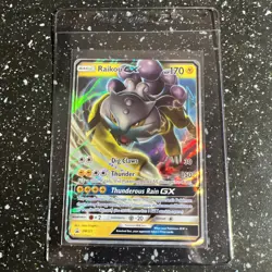 Raikou GX SM121 FULL ART BLACK STAR PROMO Sun & Moon 2018 Pokemon TCG Card A93 - Image 1