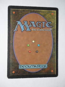 Savanna Lions Revised Edition LP Lightly Played MTG Magic the Gathering - Image 2