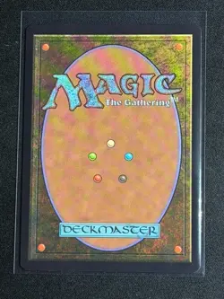 MTG Secret Lair Encyclopedia of Magic the Gathering Wasteland RARE - Image 2