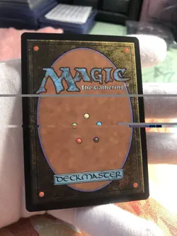 Myrel Shield of Argive MTG-Secret Lair-Encyclopedia of Magic Near Mint Nonfoil🍷 - Image 2