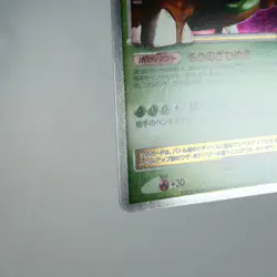 NM(S) Torterra LV.X 076/DP-P Promo 2008 Pokemon Card Japanese y582-3 - Image 5