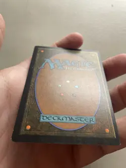 1x MTG Collected Company-Store Championship Promo-Foil HP - Image 4