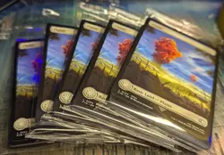 1x NON-Foil Sealed Land Pack from Final Fantasy Gift Bundle - Full Art-MTG Magic - Image 2