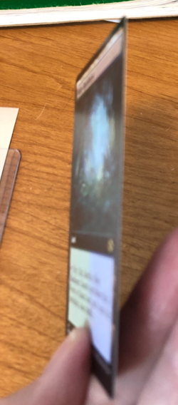 MTG Misty Rainforest Non-Foil from Modern Horizons NM - Image 4