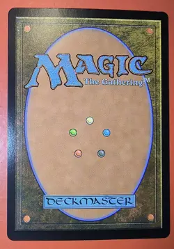 MTG: MAGIC - PLAINS - OTJ, #0272, FOIL COMMON, NM, FULL ART, UNPLAYED - Image 2