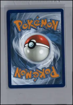 Pokemon Card Lileep (145/142) Illustration Rare Stellar Crown - Image 2