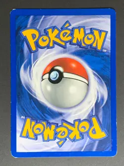 Bayleef 28/111 Neo Genesis - Non Holo Rare - Pokemon TCG 2000 Vintage - Image 3