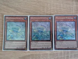 1x Mulcharmy Purulia Secret Rare Prismatic MP25-EN085 Near Mint Yu-Gi-Oh - Image 1
