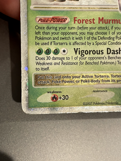 Pokemon-Torterra LV.X 122/130 Diamond and Pearl Holo Damaged - Image 4