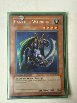 Panther Warrior CT2-EN006 2005 Collectors Tin Limited Edition - Image 1