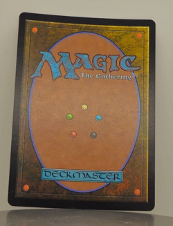 Foil - Swords to Plowshares - Dominaria Remastered - DMR - 31/261 - MTG - Image 2
