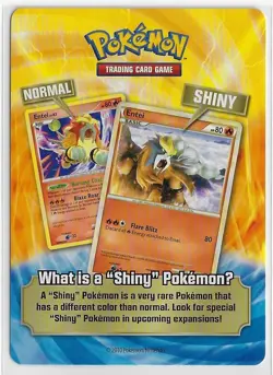 POKEMON TCG HeartGold & SoulSilver (HGSS) COLLECTOR'S TIN NM Rare PRODUCT INSERT - Image 2