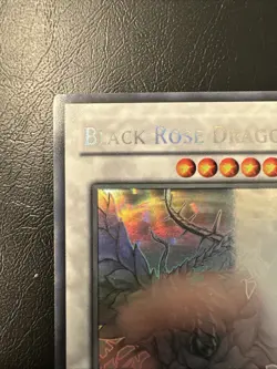 Black Rose Dragon Ghost Rare CSOC-EN039 Crossroads of Chaos Unlimited EN NM - Image 2
