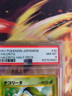 Pokemon Card Chikorita Endivie Intro Pack Dide Deck Rare 2001 Japanese PSA 8 - Image 4