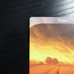 Plains Land Regular Full Art MTG Unstable #212 LP - Image 2