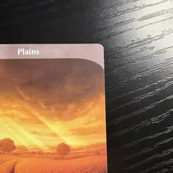 Plains Land Regular Full Art MTG Unstable #212 LP - Image 3