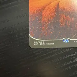 Plains Land Regular Full Art MTG Unstable #212 LP - Image 4