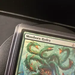 MTG Mossborn Hydra 107 Regular Rare Foundations FDN - Image 4