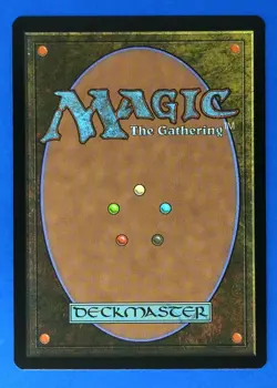 MTG Secret Lair Encyclopedia Magic the Gathering Myrel Shield Argive 0013 RARE - Image 2
