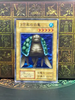 Yu Gi Oh! 30,000-Year White Turtle -No Ref Common 1999 Booster5 old played - Image 1