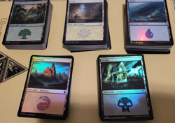 Magic the Gathering 200 Foil Basic Land Lot - Image 1