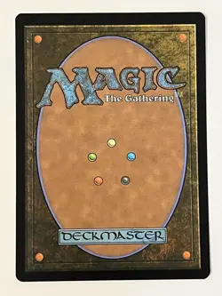 Plains (0262) (Borderless) Edge of Eternities Foil MTG NM - Image 2