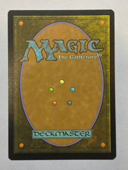 MTG - Secret Lair: Everyone's Invited - Masked Vandal - NM - Image 2