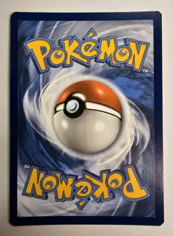 Morpeko SWSH116 SWSH: Sword & Shield Promo Cards Holo - Image 2