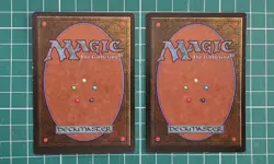 Magic The Gathering (MTG) - 2x Gaea’s Touch - The Dark (Green) (Forest) NM - LP - Image 2