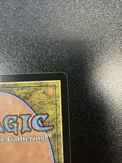 Magic the Gathering Mistrise Village (Borderless) Tarkir: Dragonstorm Foil NM JL - Image 4