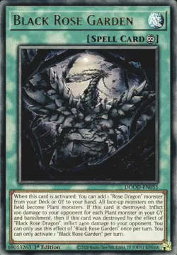 DOOD-EN055 • Black Rose Garden • Ultra Rare • 1st Ed • YuGiOh - Image 1