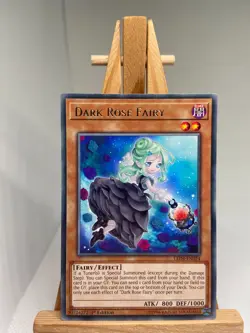 Dark Rose Fairy - Rare 1st Edition LED4-EN024 - NM - YuGiOh - Image 1