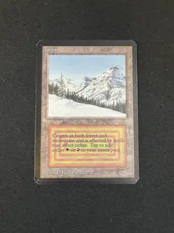MTG TAIGA ALPHA NM DUAL LAND - Image 1