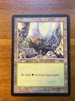 Magic the Gathering Vintage Basic Land Lot - Image 2