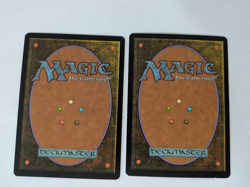 2 Ajani Goldmane Lorwyn MTG NM Free shipping with tracking - Image 2