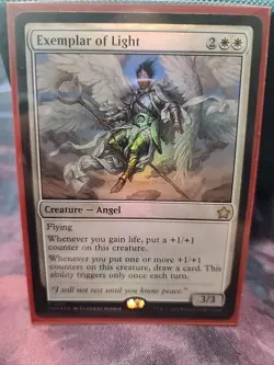 Exemplar of Light Foundations Foil - Image 1