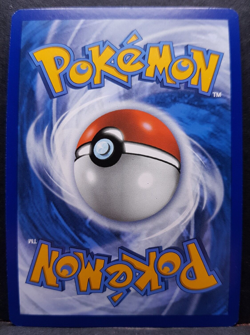 Schiggy SVP048 151 Black Star Promo Holo Pokemon Pokemon Deutsch Near Mint - Image 2