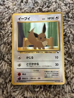 Pokemon Eevee Japanese Crossing the Ruin and Vending cards - Image 3