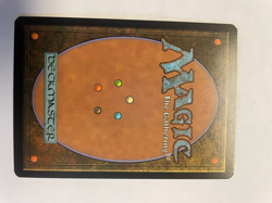 Pyrohemia Planar Chaos Regular #119card Never been played with it's a beauty!! - Image 2